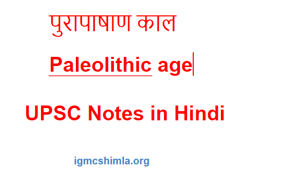 पुरापाषाण काल Paleolithic age

